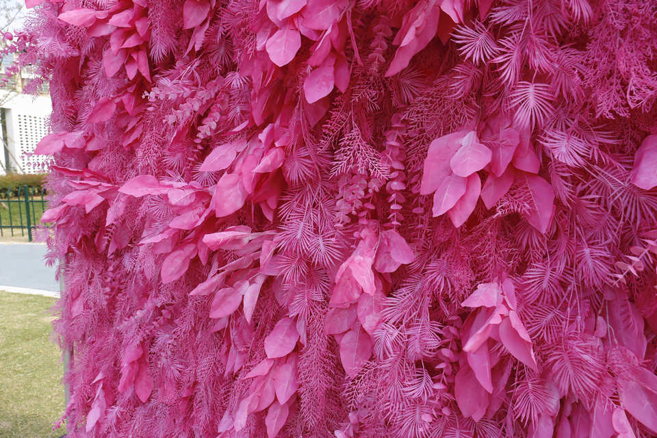 5D Blush Pink Full Hanging Artificial Pampas Feather Flower Wall Backdrop 8ft X 8ft