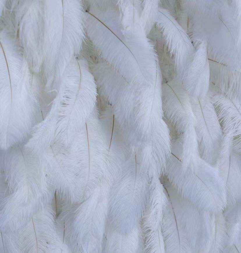 3D Luxury Wedding White Feather Wall Wedding Decoration Artificial Feather Wall Romantic Decor
