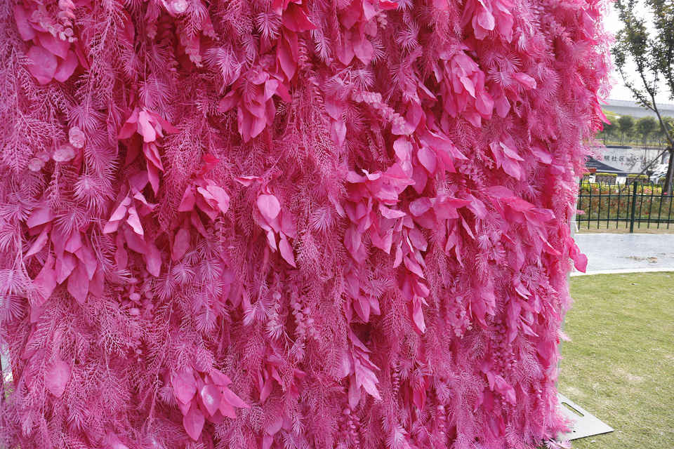 5D Blush Pink Full Hanging Artificial Pampas Feather Flower Wall Backdrop 8ft X 8ft