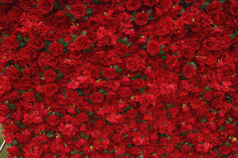 Customized 3D Roll-Up Artificial Red Flower Wall Backdrop With Green Leaves Fabric Base for Home Wedding Wall Decorations