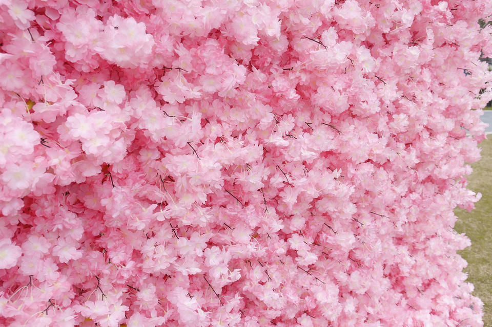 Customized 4D Roll Up Artificial Pink Flower Wall Backdrop Cherry Blossom Fabric Base Flower Wall Home Wedding Decorations