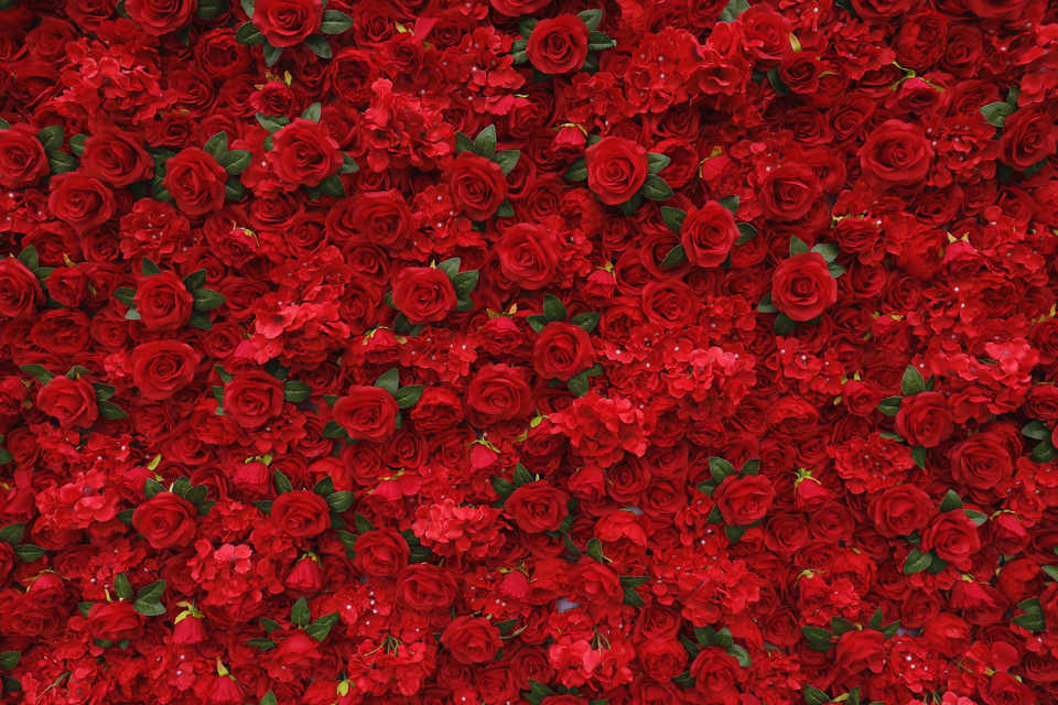 Customized 3D Roll-Up Artificial Red Flower Wall Backdrop With Green Leaves Fabric Base for Home Wedding Wall Decorations